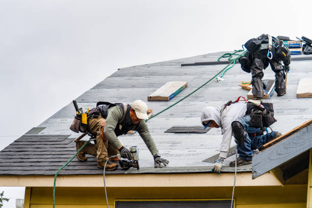 Professional Gutter Installation technician working in Grandy, NC